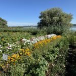 Wanderung im Linzgau
