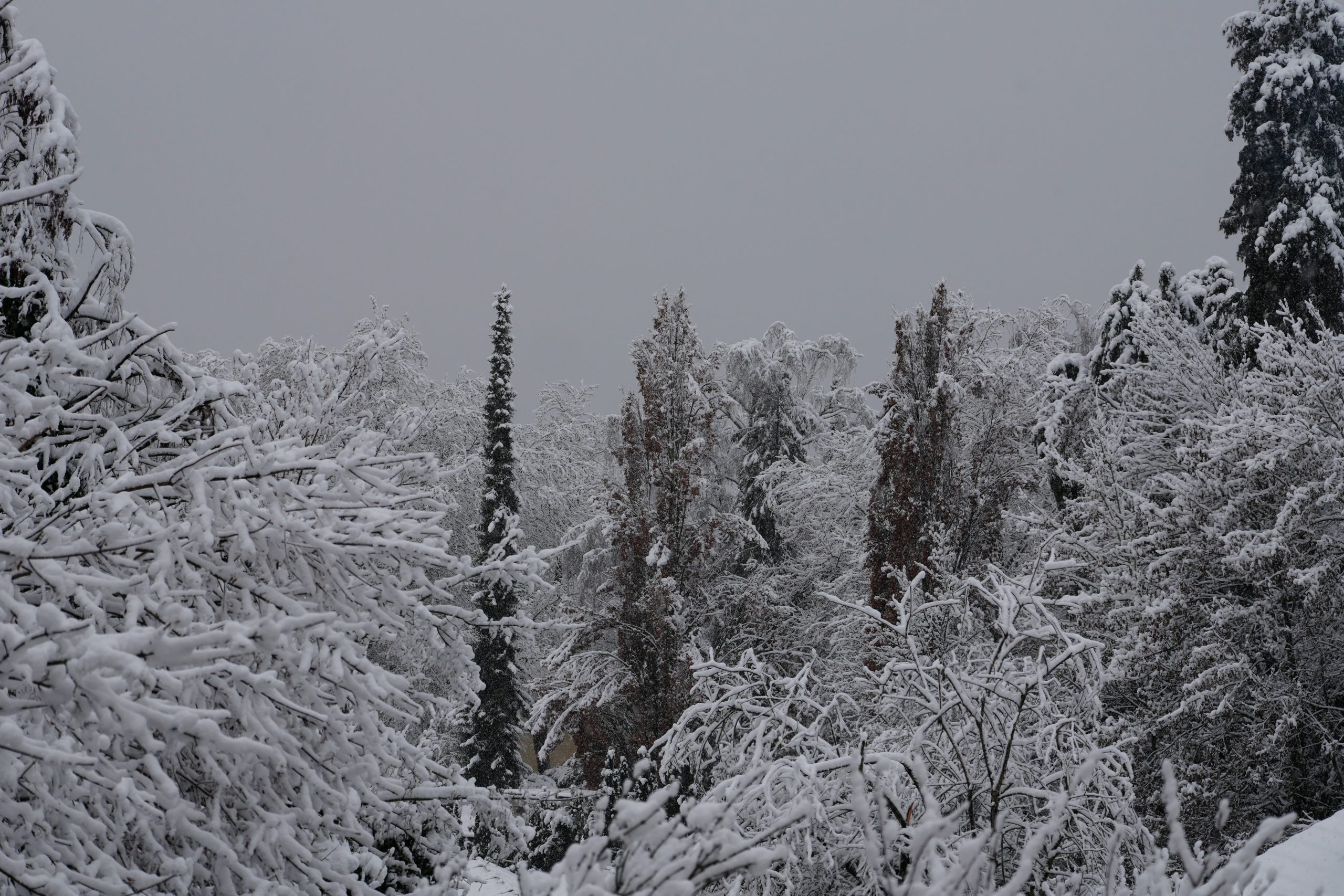 Winterwanderung