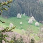 Auf den Höhen von Wolfach im Kinzigtal