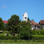Mittwochswanderung mit Wolfgang
