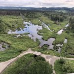 Auf ins Pfrungener Ried