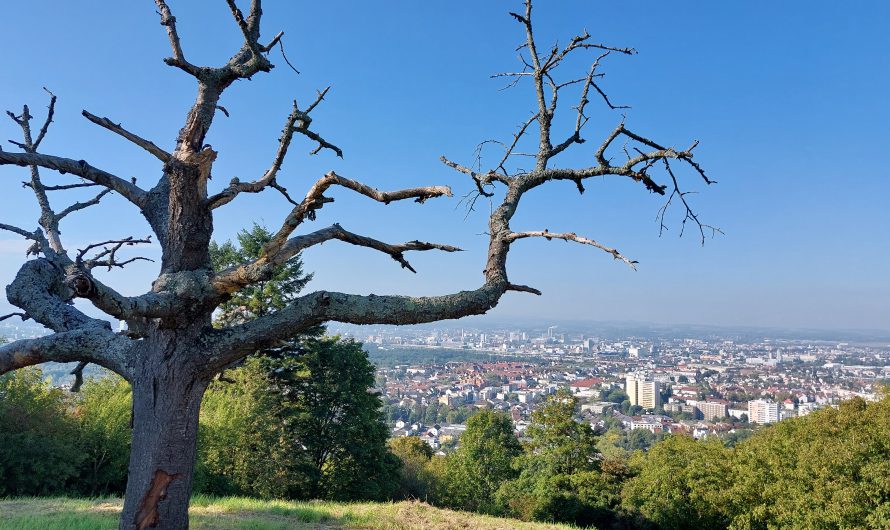 Das Dreiländereck von der schönsten Seite