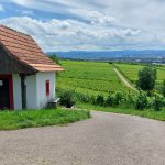 Wiiwegli - Toskana Deutschlands