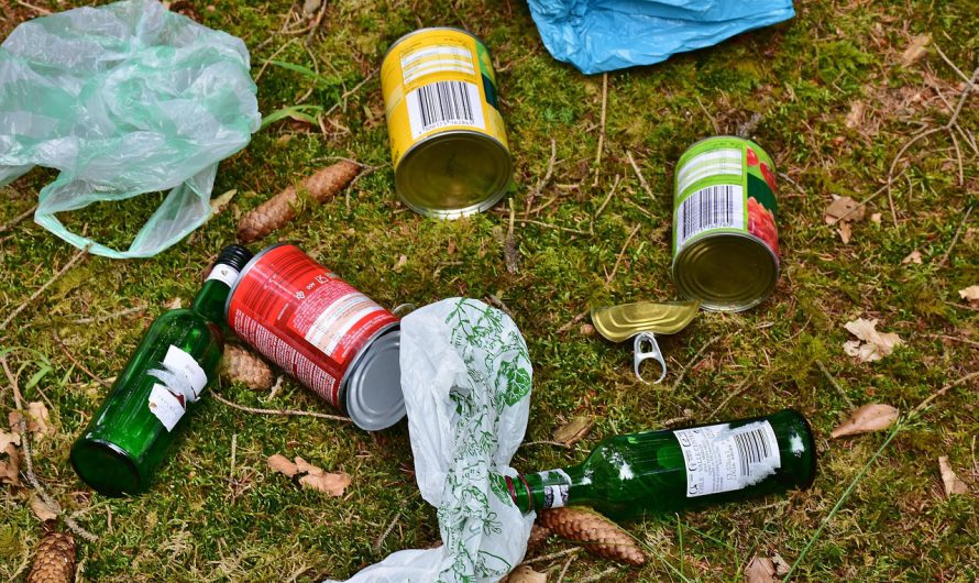 Aktion Bodensee CleanUpDays