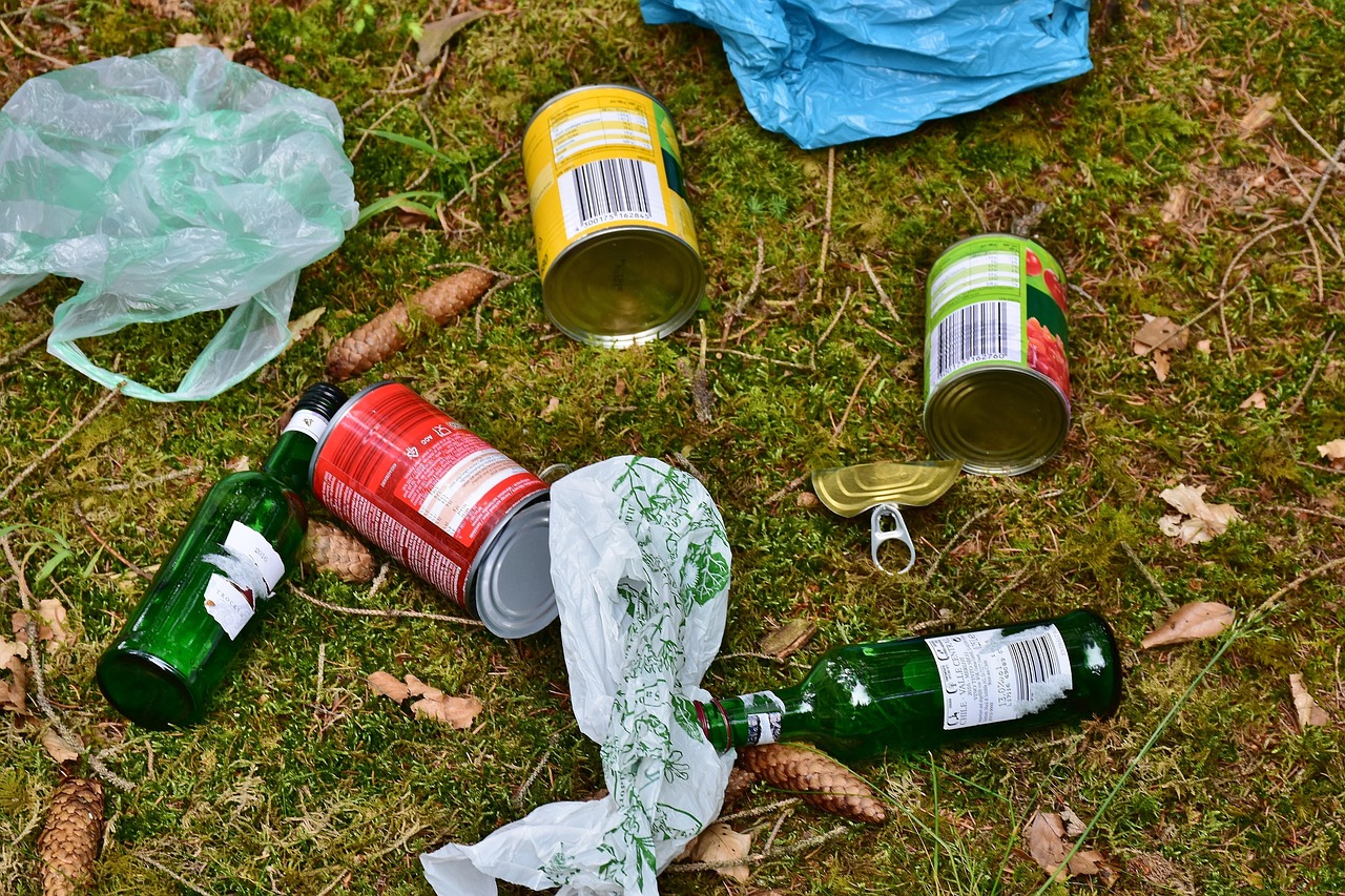 Clean Up Days - Überlingen