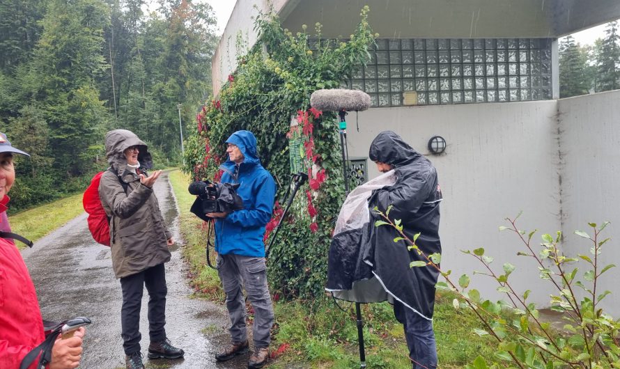SWR-Dreh mit dem Linzgauverein im Aachtobel: Wandergruppe trotzt dem Wetter