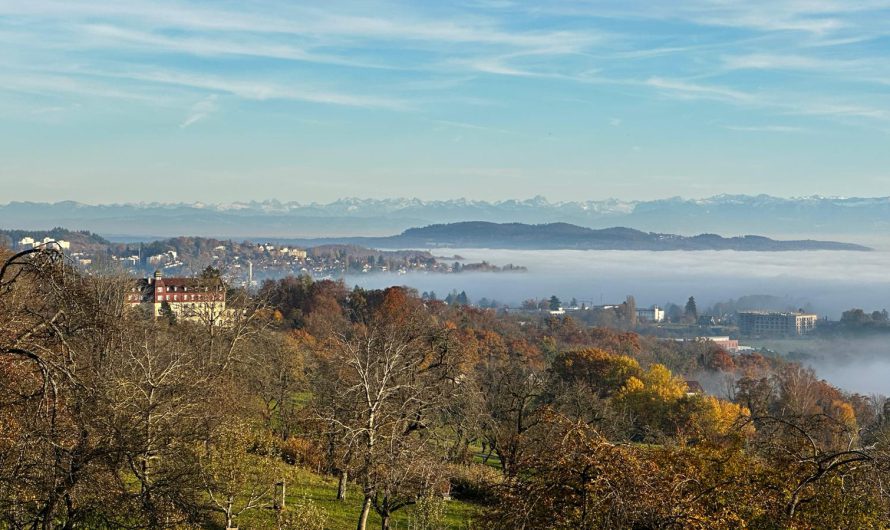 Dinnele und gute Laune