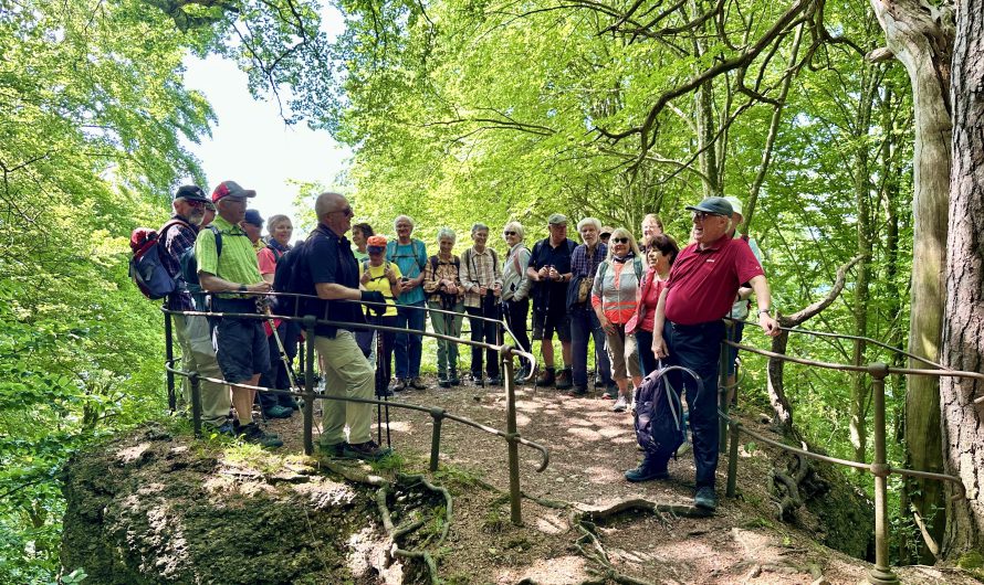 Ein perfekter Wandertag auf dem „SeeGang“