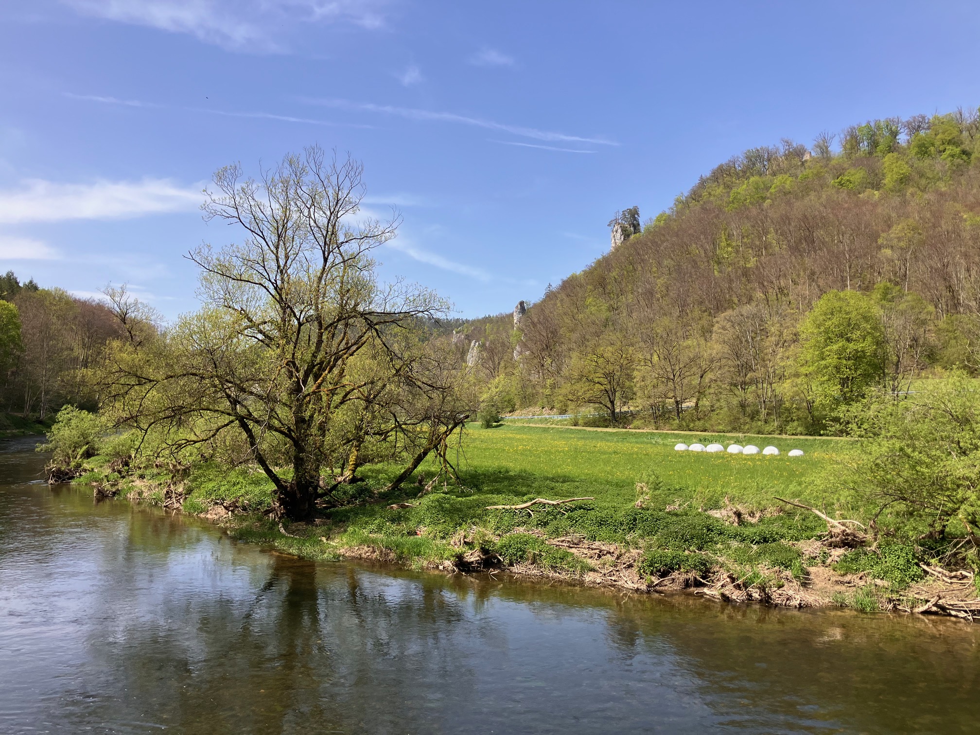 DonauFelsenLäufe