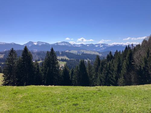 IMG_9610