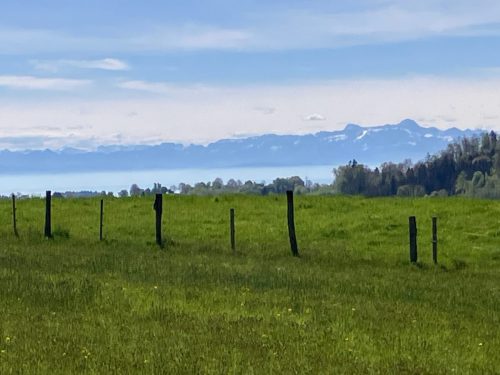 Lyrikweg-a-07Mai2025