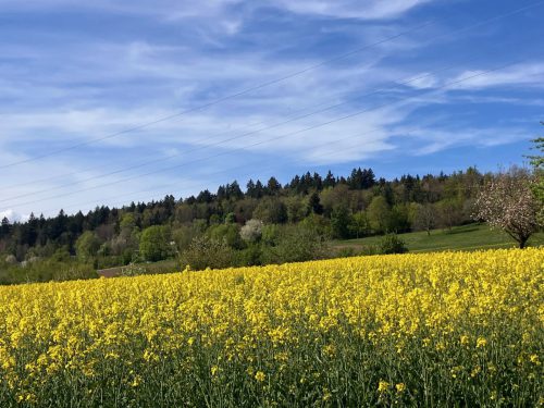 Lyrikweg-e-07Mai2025